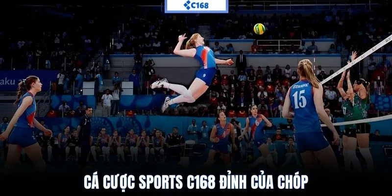 Cá cược sports C168 đỉnh của chóp