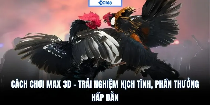 Cách chơi Max 3D C168