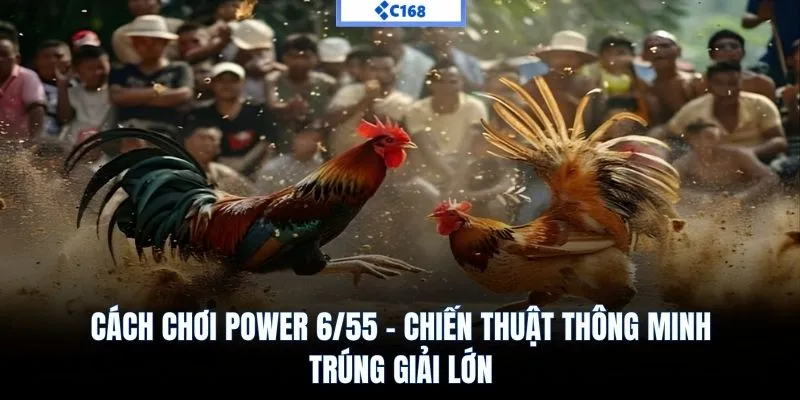 Cách chơi Power 6/55