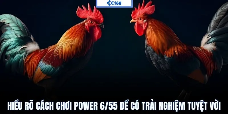Hiểu rõ cách chơi power 6/55 để có trải nghiệm tuyệt vời